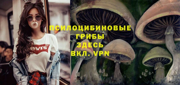 jwh Аркадак