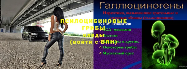 дмт Арсеньев